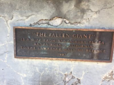 The Fallen Giant
