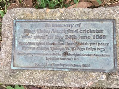 In Memory of King Cole, Aboriginal cricketer