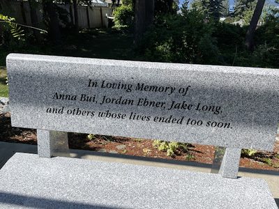 In Loving Memory of Anna Bui, Jordan Ebner, Jake Long, and other whose lives ended too soon