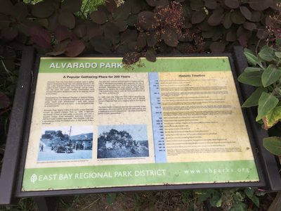Alvarado Park -- A Popular Gathering Place