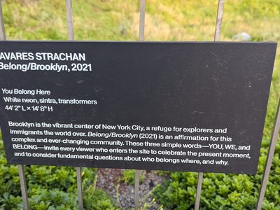 Tavares Strachan, 'Belong/Brooklyn'