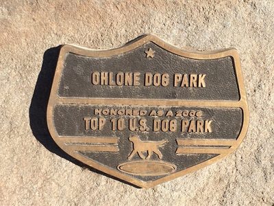 Top 10 U.S. Dog Park