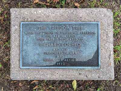 The Freedom Tree - Richard Cocheo