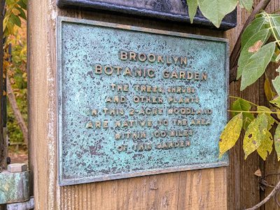 Brooklyn Botanic Garden Native Flora Garden