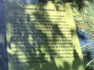 Lake Temescal Detention Pond