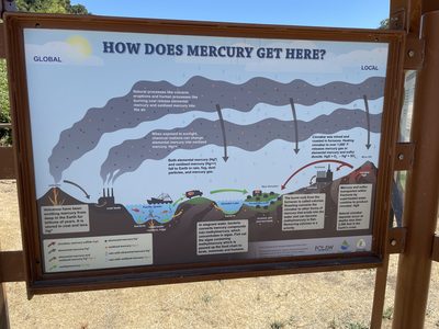 How Does Mercury Get Here?