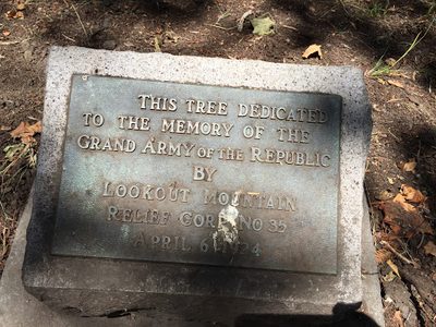This Tree Dedicated to the Memory of the Grand Army of the Republic