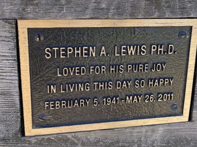 Stephen A. Lewis PH. D.