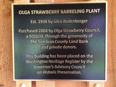 Olga Strawberry Plant