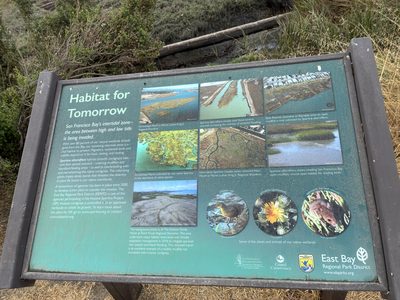 Habitat for Tomorrow
