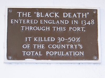 It Killed 30 - 50% of the Country's Total Population