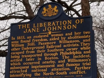 The Liberation of Jane Johnson