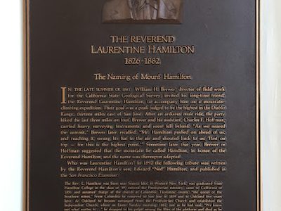 The Reverend Laurentine Hamilton