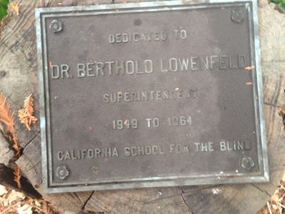 Dr. Bertholo Lowenfeld