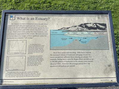 What is an Estuary