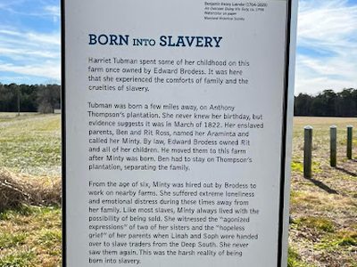 Born into Slavery
