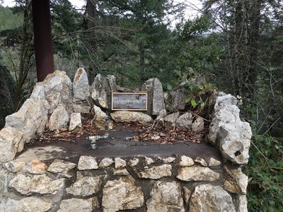 Dunsmuir Lions Club