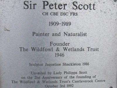 Sir Peter Scott