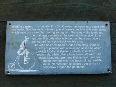 Wildlife Garden, Culzean Country Park
