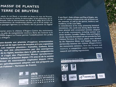 Massif de Plantes Terre de Bruyere