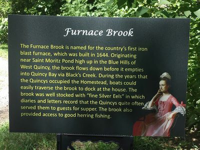 Furnace Brook