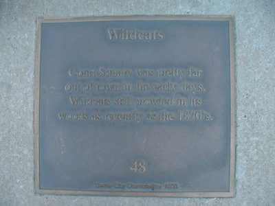 Wildcats