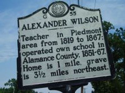 ALEXANDER WILSON