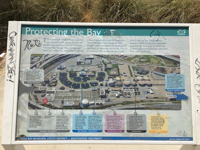 Protecting the Bay