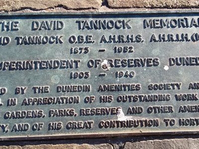 The David Tannock Memorial