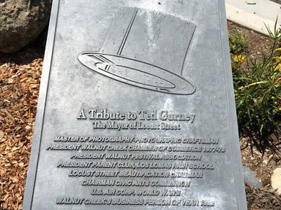 A Tribute to Ted Gurney