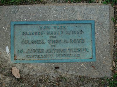 Colonel Thos. D. Boyd Tree