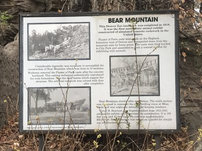Bear Mountain at the Denver Zoo
