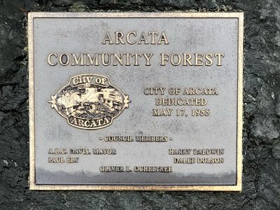 Arcata Community Forest