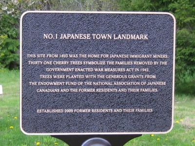 Japan Town