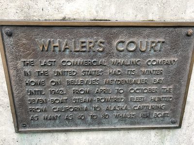 Whaler's Court