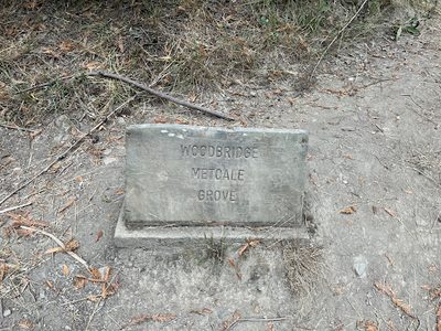 Woodbridge Metcale Grove