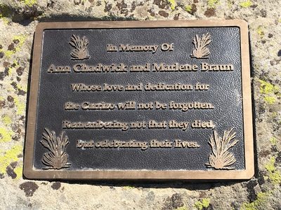 In memory of Ann Cadwick and Marlene Braun