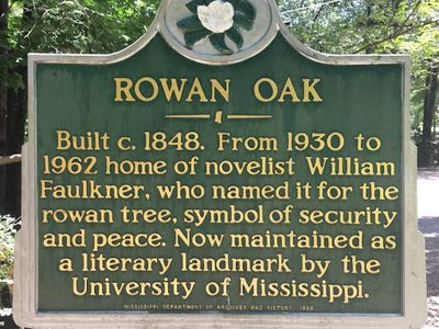 Rowan Oak