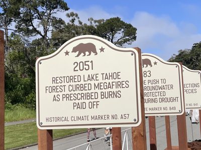 Future Plaque: Restored Lake Tahoe Forest Curbed Megafires As Prescribed Burns Paid Off