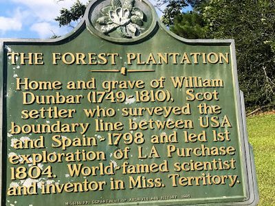 The Forest Plantation