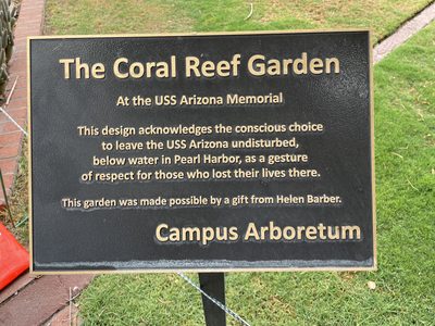 The Coral Reef Garden