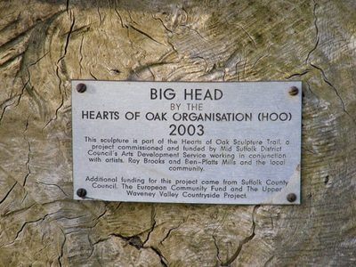 Plaque on Big Head