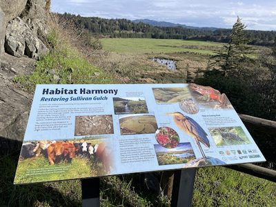 Restoring Sullivan Gulch