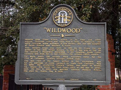 Wildwood