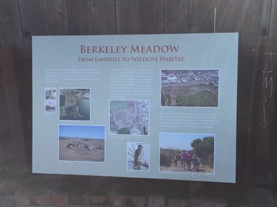 From Landfill to Wildlife Habitat