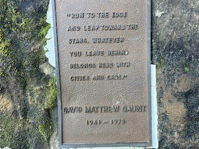 David Matthew Gaunt