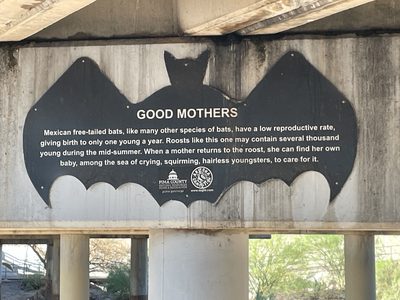 Good Mothers