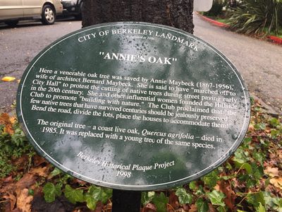 Annie’s Oak