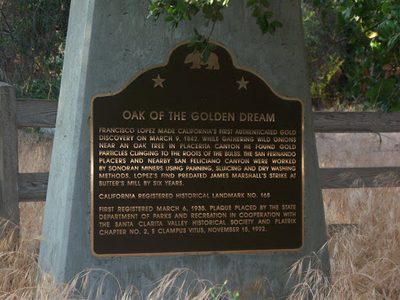Oak of the Golden Dream