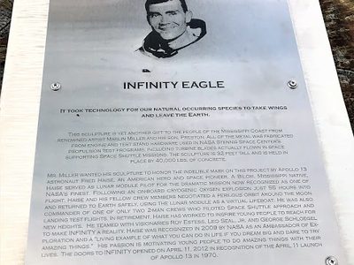 Infinity Eagle